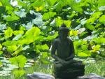 Taller de qi gong preventivo y terapéutico /  taller de meditación guiada 